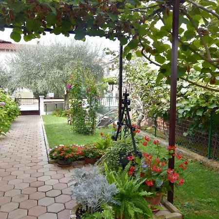 Apartment With A Parking Space - 22464 Umag